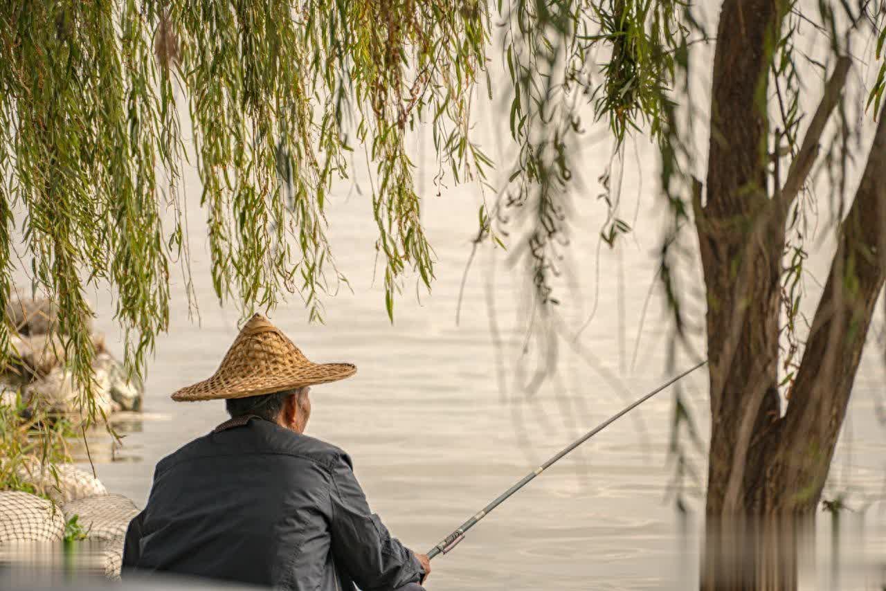 不是今天鱼, src, AA 不是今天鱼, src, AA